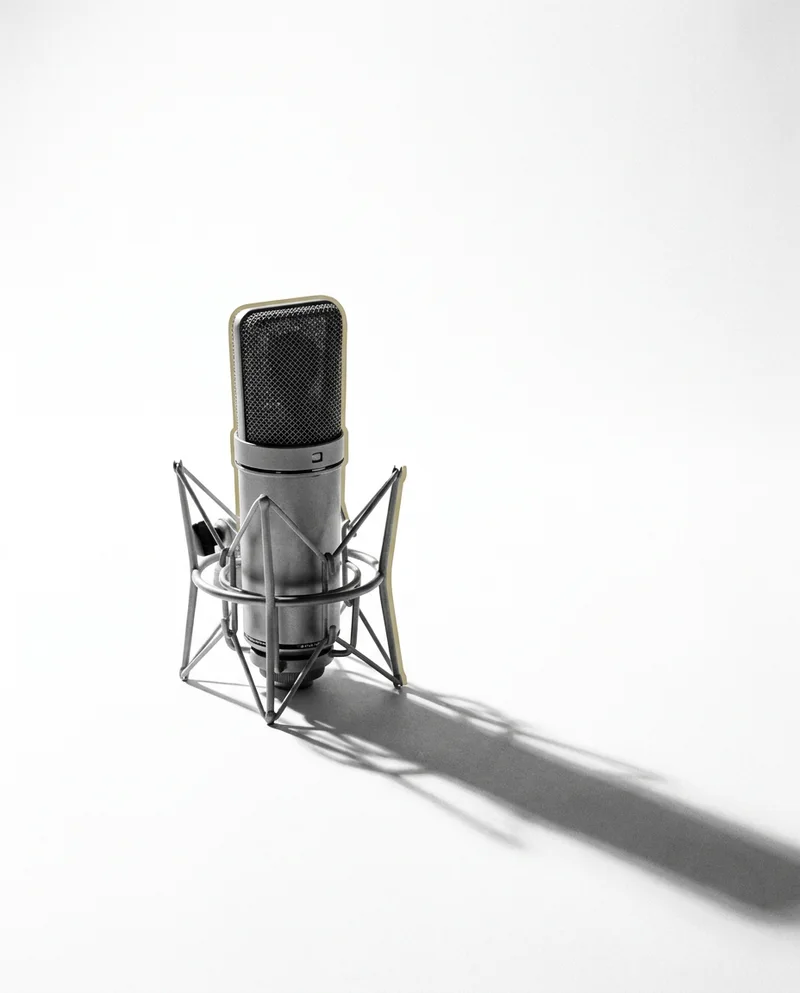 Studio-Stillleben: ein Rundfunkmikrofon auf reinem Weiß, eine Khaki-Lichtkante am Korb.